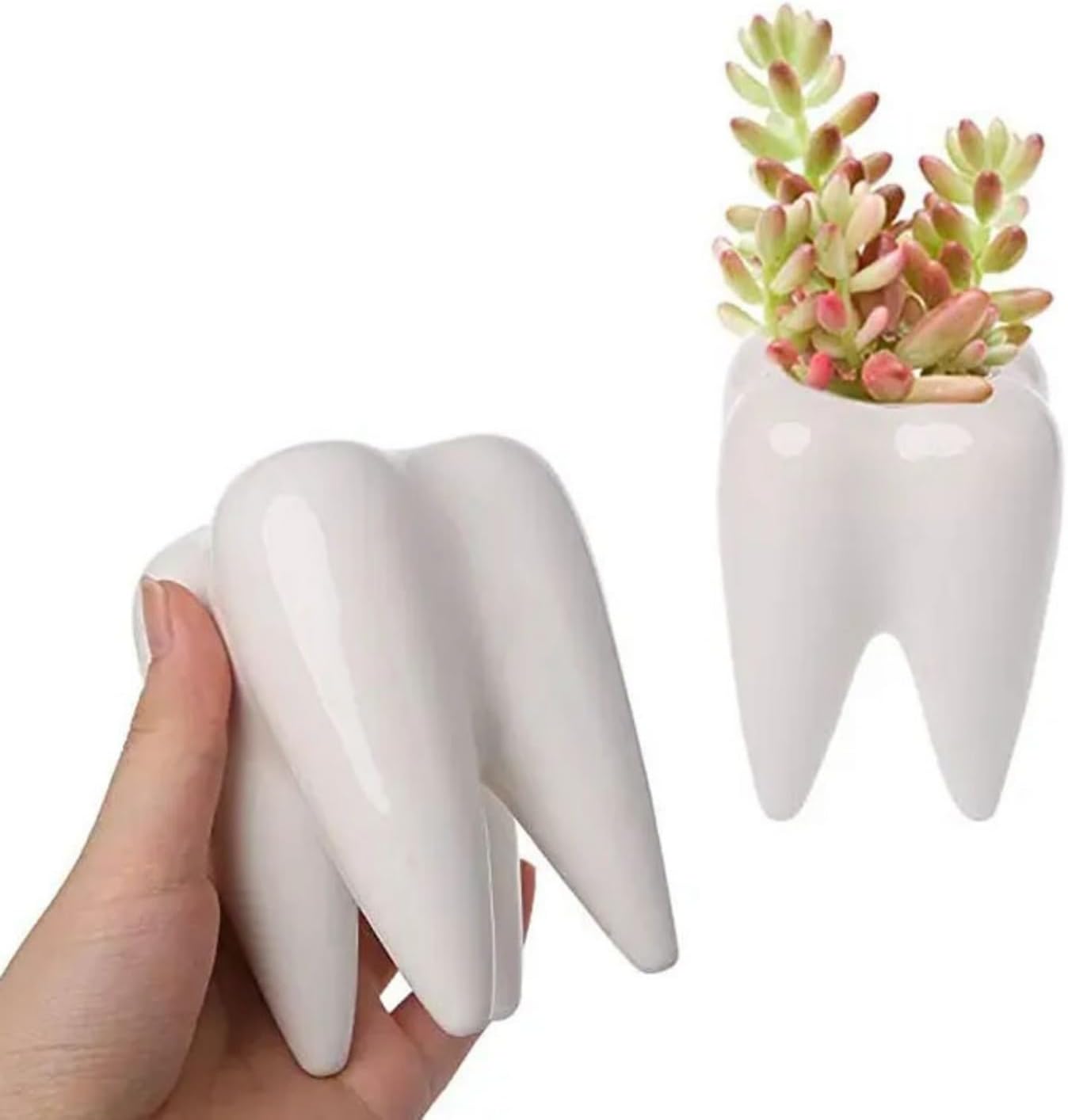 Cute Tooth Shaped White Ceramic Planter Pots Flower Plant Containers, Mini Ceramic Succulent Planter Pots, Creative Pen Pencil Holder for Office Home Desk Decor, Plants Not Included (2 Pcs)-1