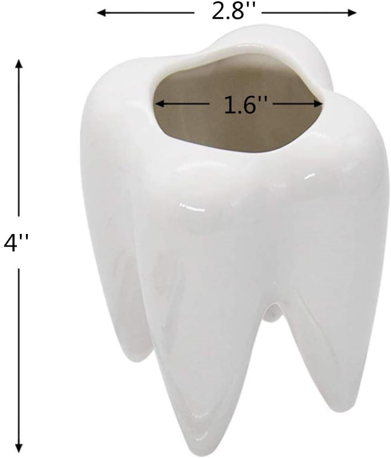 Cute Tooth Shaped White Ceramic Planter Pots Flower Plant Containers, Mini Ceramic Succulent Planter Pots, Creative Pen Pencil Holder for Office Home Desk Decor, Plants Not Included (2 Pcs)-3