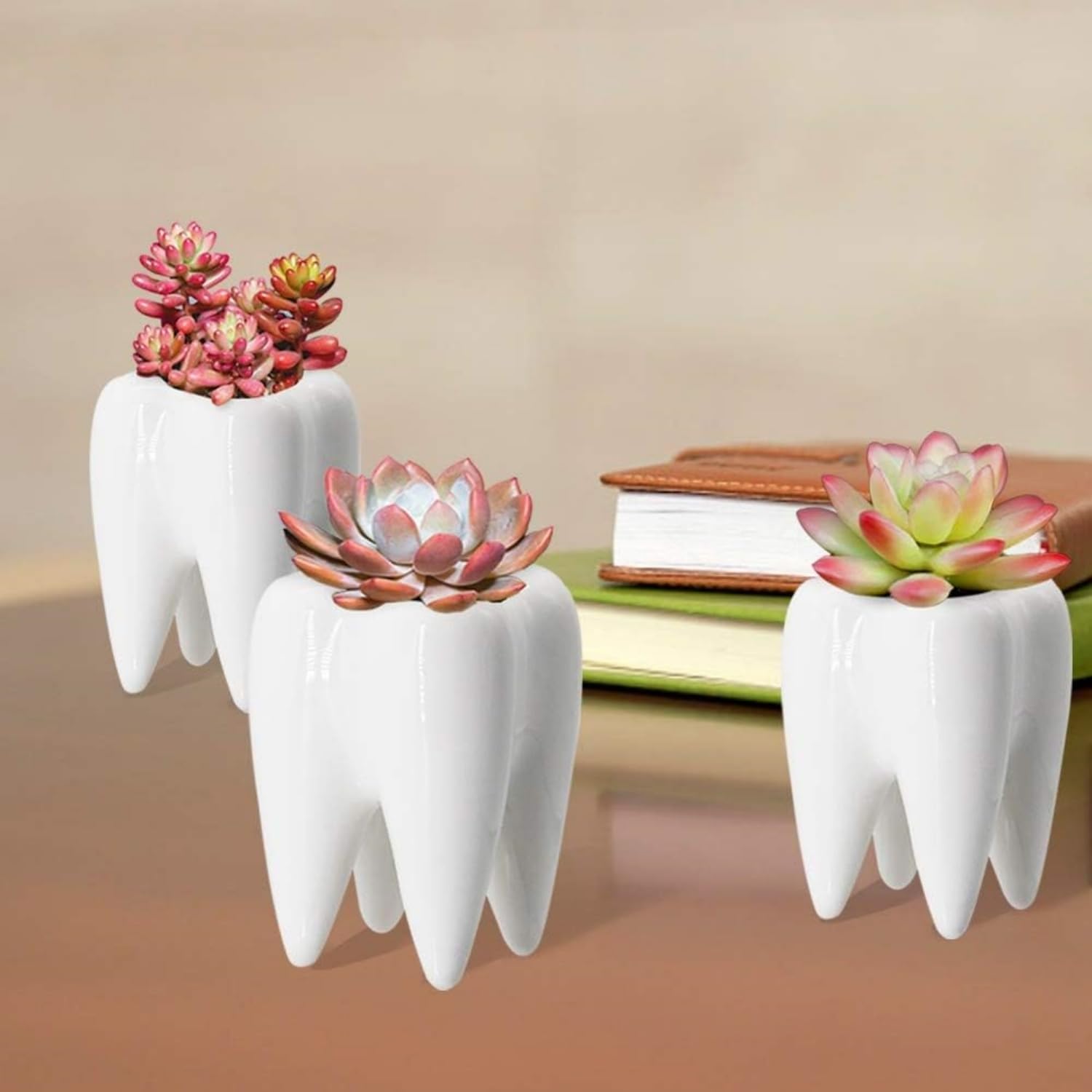 Cute Tooth Shaped White Ceramic Planter Pots Flower Plant Containers, Mini Ceramic Succulent Planter Pots, Creative Pen Pencil Holder for Office Home Desk Decor, Plants Not Included (2 Pcs)-8