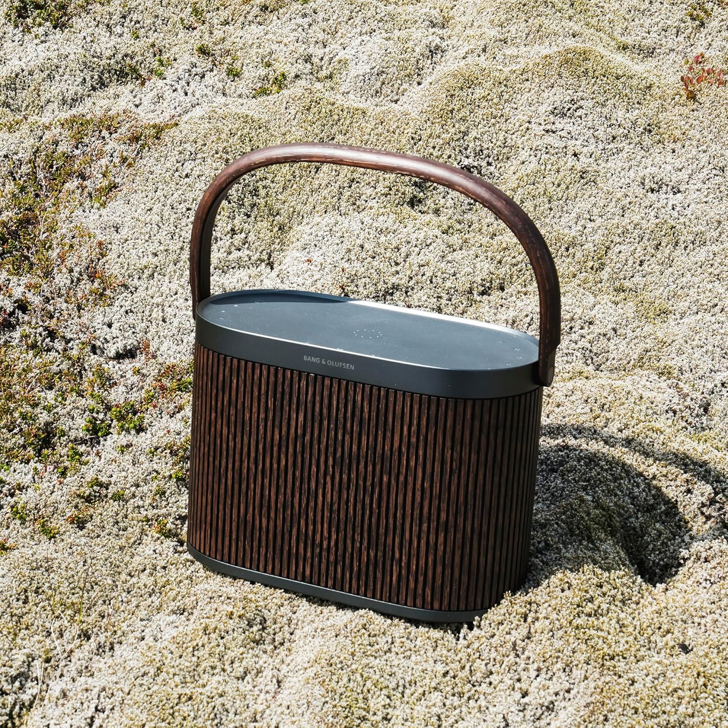 Bang & Olufsen Beosound A5 - Portable Bluetooth Speaker with Wi-Fi Connection, Carry-Strap, Dark Oak-9