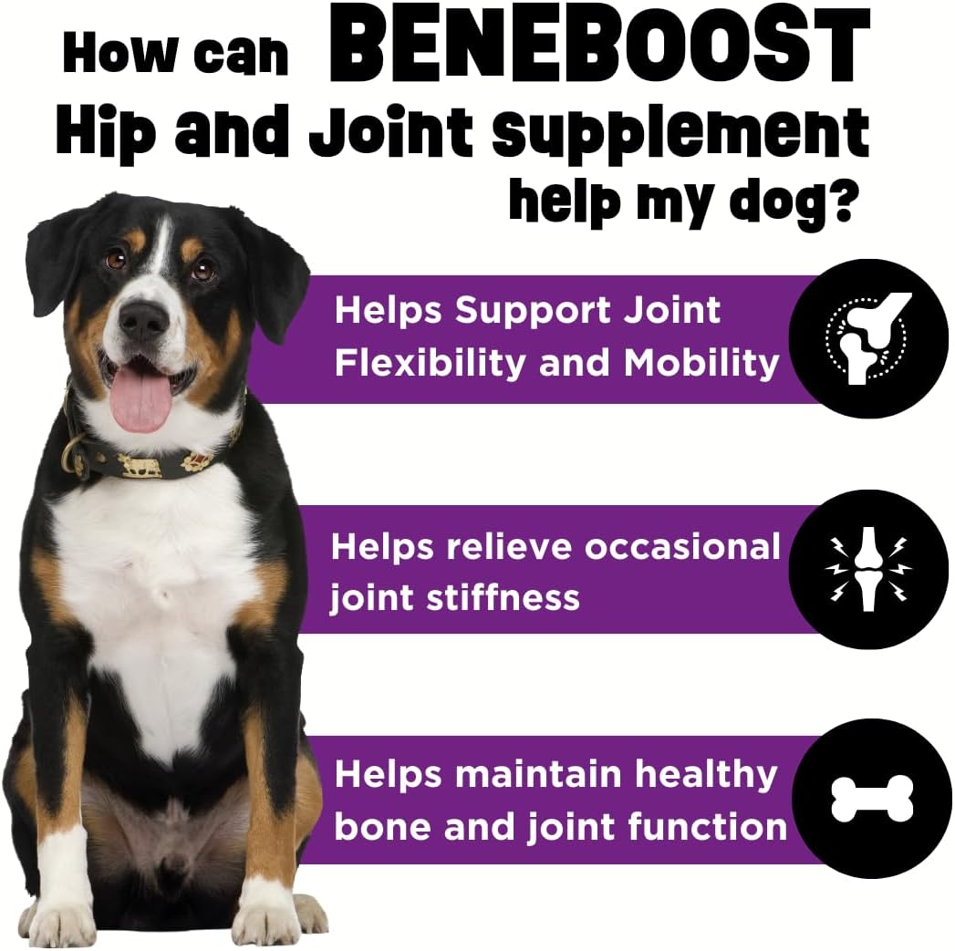 Dinovite BeneBoost Hip & Joint Liquid Food Topper for Dogs - Glucosamine Supplement - Joint Mobility Meal Topper - 16 oz-1