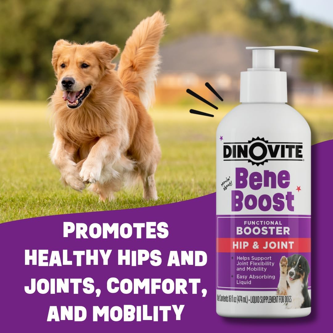 Dinovite BeneBoost Hip & Joint Liquid Food Topper for Dogs - Glucosamine Supplement - Joint Mobility Meal Topper - 16 oz-5