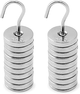 QWORK Lab Slotted Mass Set, 2 Set of Chromium-Plated Metal Slotted Weights, One Set - Total 100g - Includes 9 Weights (10g Each) & One Hanger (10g)