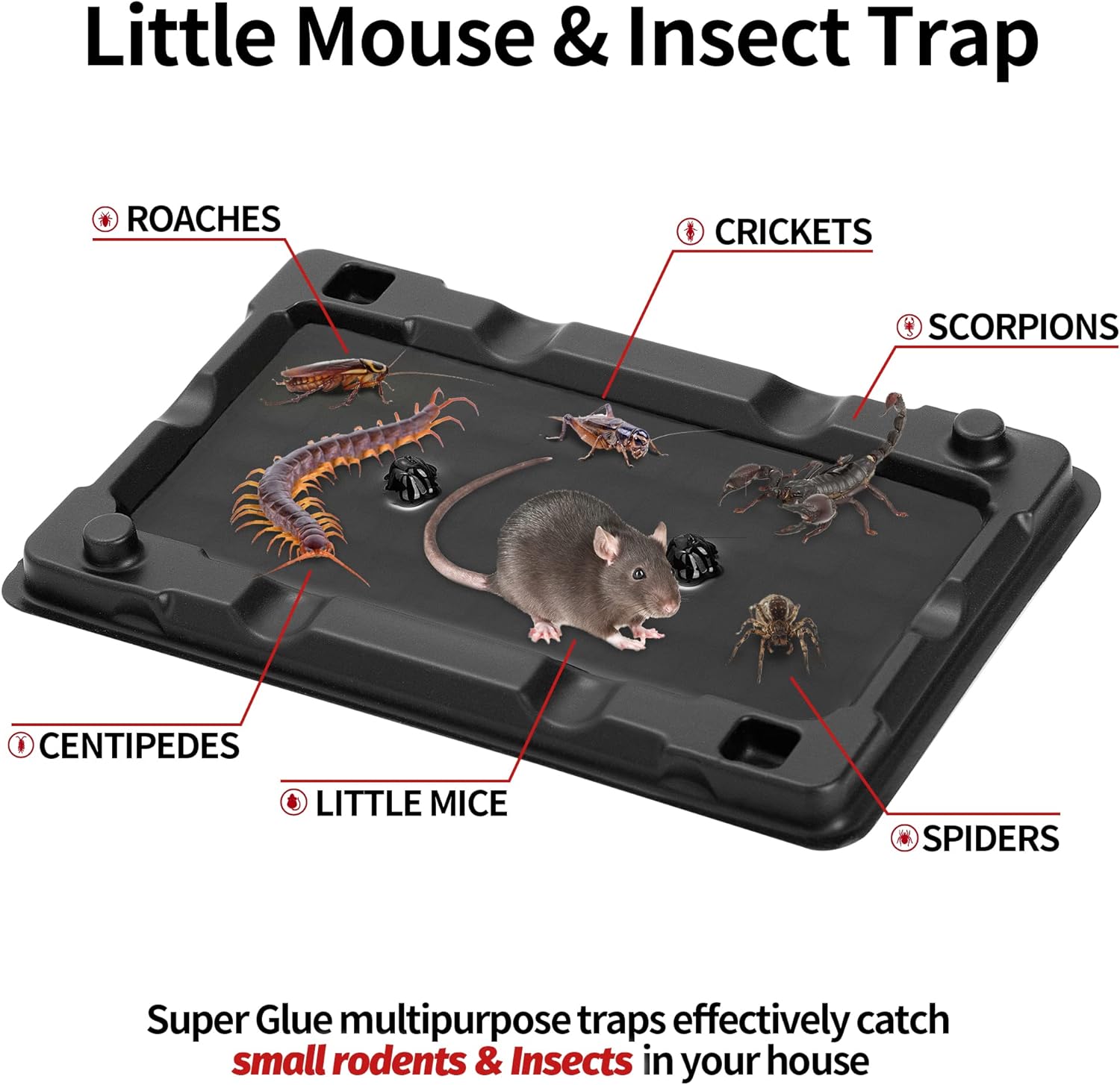 LULUCATCH Mouse & Insect Traps 12 Pack, Heavier Sticky Traps with Non-Toxic Glue for Small Mice & Insects. Sticky Mouse Traps Indoor, Easy to Set, Safe to Children & Pets-1