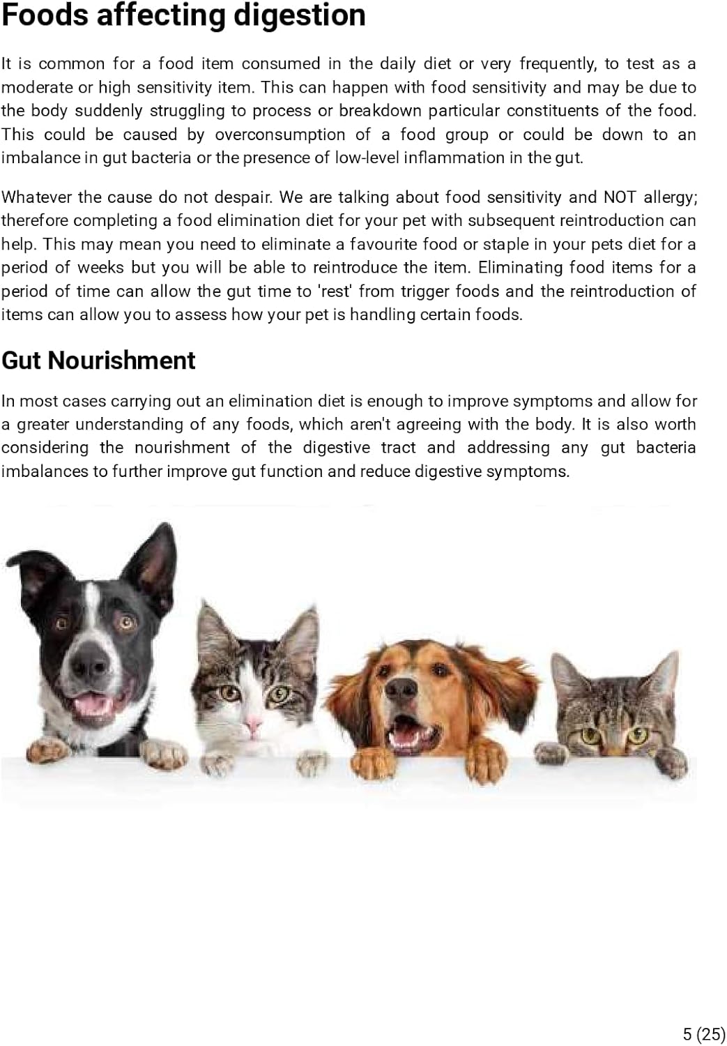 Dog Intolerance Test for 200 Food and Non-Food Allergens | Home Sample Collection Kit for 1 Canine | Results in 5 Working Days | A Complete Allergy Kit with No Extra Fees-6