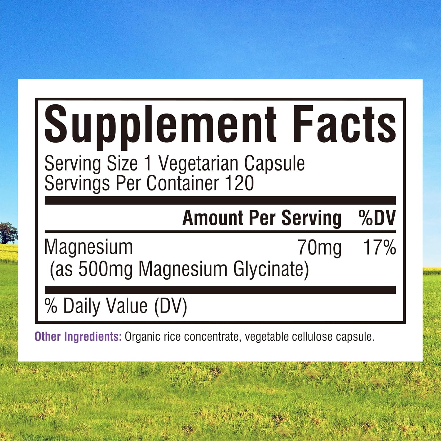 Innate Vitality Magnesium Glycinate 500mg | 70mg Elemental Magnesium Supplement- High Absorption, Non Buffered, Non-GMO & No Gluten - Nerve, Muscle, Bone & Heart Health - 120 Vegan Capsules Magnesio-2