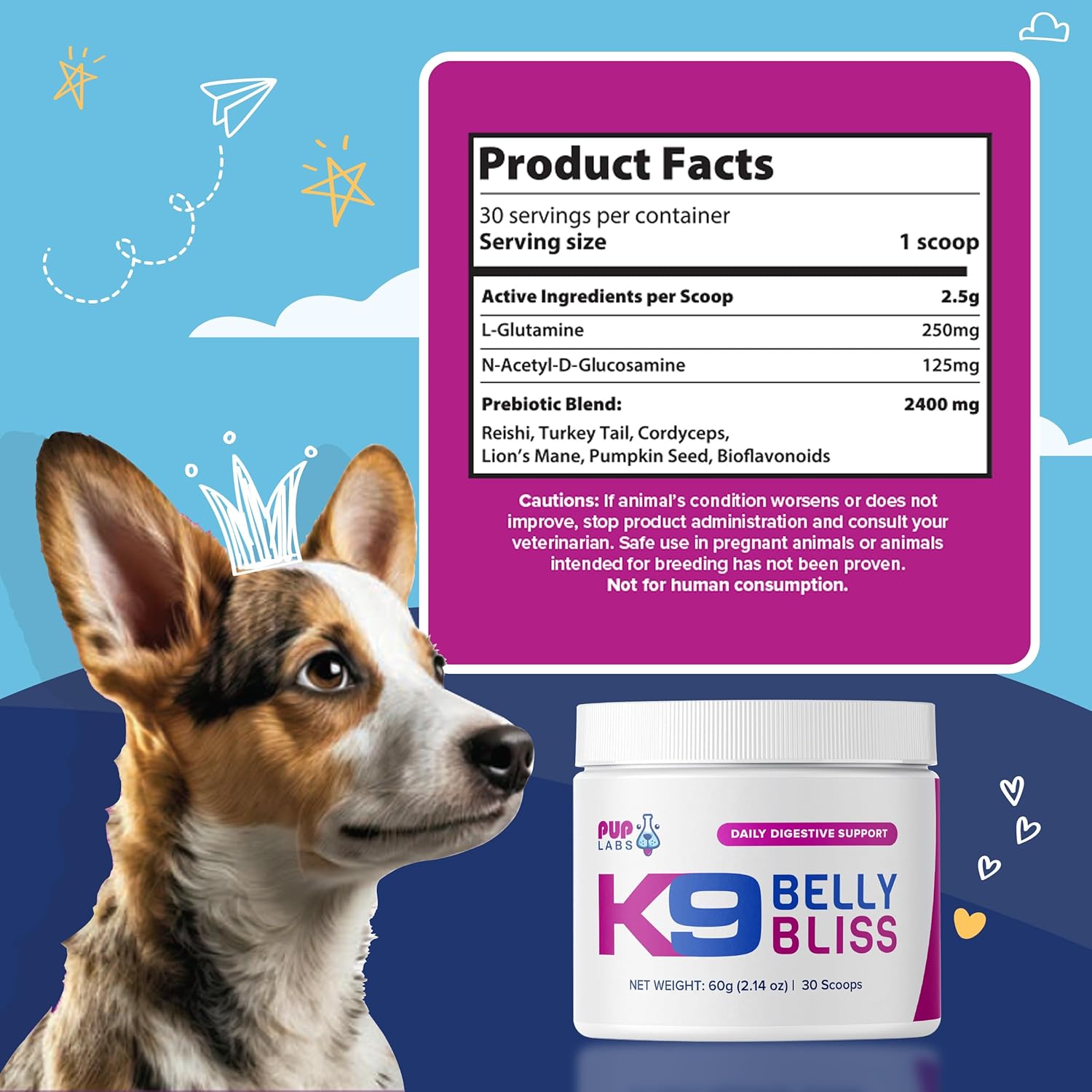 K9 Belly Bliss - Daily Digestive Support - Custom-Formulated Prebiotic for Dogs - Topper for Dry and Wet Food, 30 Scoops, 2.14 oz-1