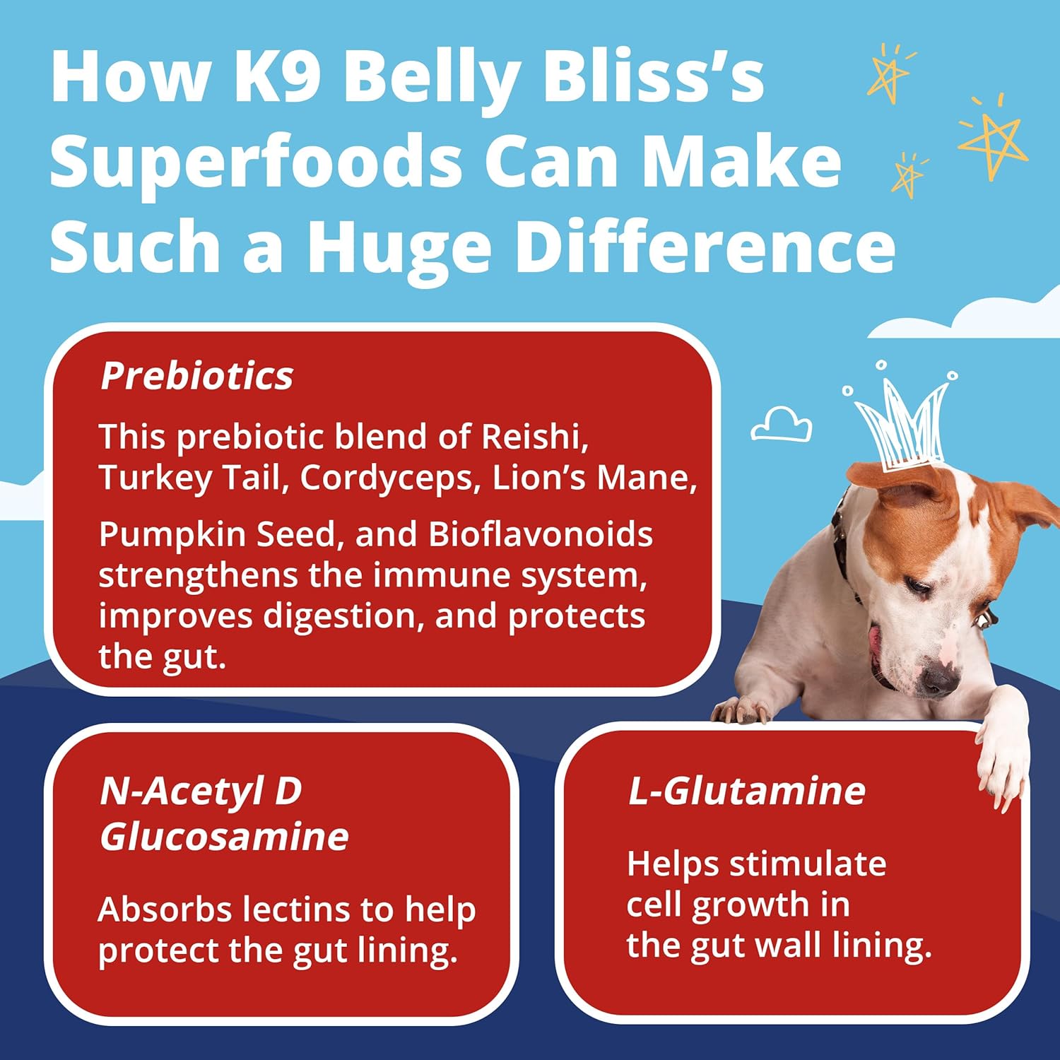 K9 Belly Bliss - Daily Digestive Support - Custom-Formulated Prebiotic for Dogs - Topper for Dry and Wet Food, 30 Scoops, 2.14 oz-4