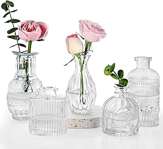 Fixwal Set of 5 Bud Vases, Small Vase for Flowers, Glass Vase for Home Decor, Wedding Decorations, Clear Flower Vases for Centerpieces, Vintage Vase for Home Decor