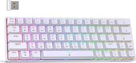 DIERYA T63 60% Wireless Mechanical Gaming Keyboard | Bluetooth/2.4G/Wired Keyboard | RGB Backlit Compact 63 Keys Mini Office Keyboard | with Red Switch | for Windows Laptop PC Gamer Typist-White