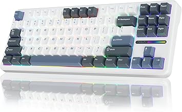 AULA F87 Wireless Mechanical Keyboard,75% TKL Custom Hot Swappable Keyboard,Gasket Mount Gaming Keyboard with PBT Keycaps,Pre-lubed Greywood Switches,2.4GHz/USB-C/BT5.0 RGB Backlit Mechanical Keyboard