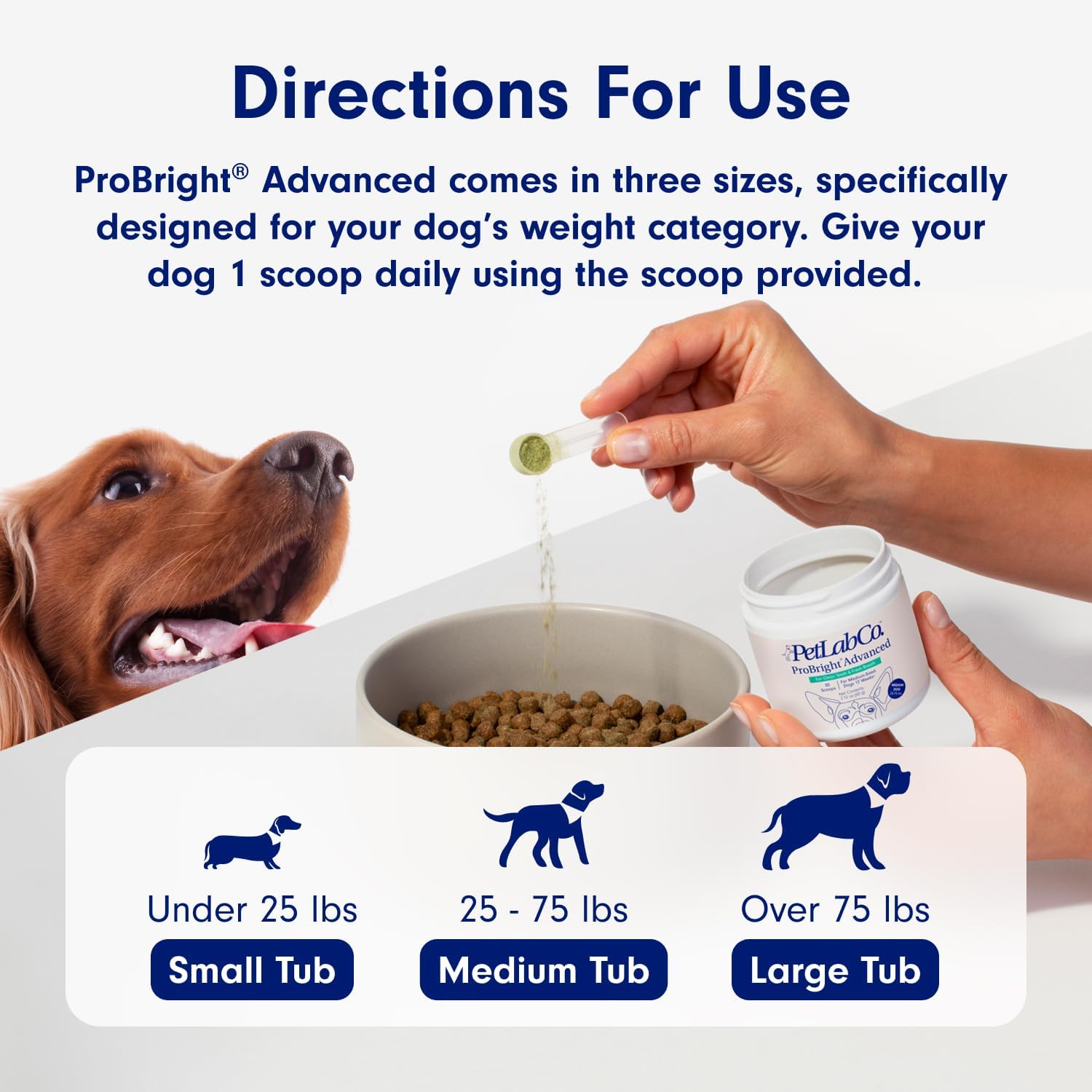 PetLab Co. ProBright Advanced Dental Powder - Dog Breath Freshener - Teeth Cleaning Made Easy – Targets Tartar & Bad Breath - Formulated for Medium Size Dogs-5