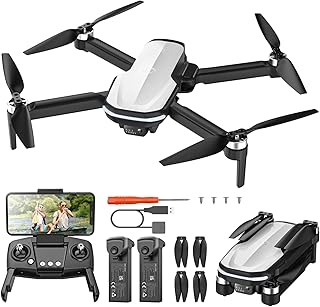 Holy Stone FPV Drone with 1080P HD Camera for Beginner Adults and Kids, HS280D Foldable RC Quadcopter with Brushless Motor, Optical Flow, Tap Fly, Voice Control, Gesture Selfie, 2 Modular Batteries