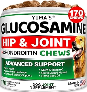 Glucosamine for Dogs - Hip and Joint Supplement for Dogs - 170 Ct - Glucosamine Chondroitin for Dogs Chews - Dog Joint Pain Relief with MSM - Advanced Dog Joint Supplement Health - Mobility Support