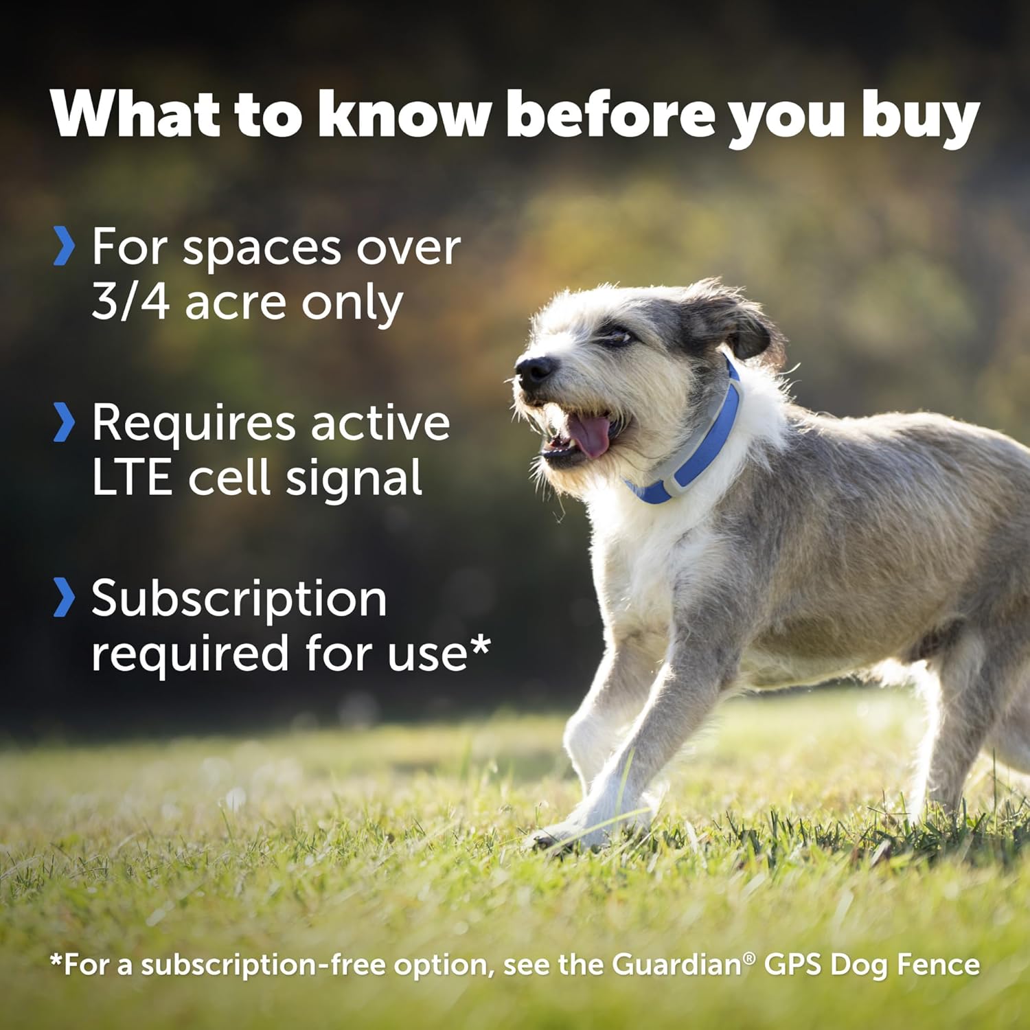 PetSafe Guardian GPS + Tracking Dog Fence Collar – Wireless Dog Fence with Real-Time Tracking – Most Reliable GPS Fence for Yards Over 3/4 Acres – Subscription Required - for Medium and Large Dogs-2