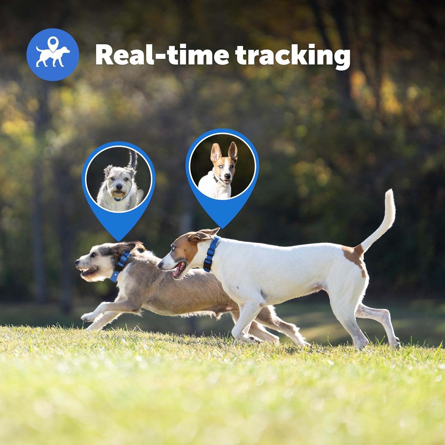 PetSafe Guardian GPS + Tracking Dog Fence Collar – Wireless Dog Fence with Real-Time Tracking – Most Reliable GPS Fence for Yards Over 3/4 Acres – Subscription Required - for Medium and Large Dogs-5