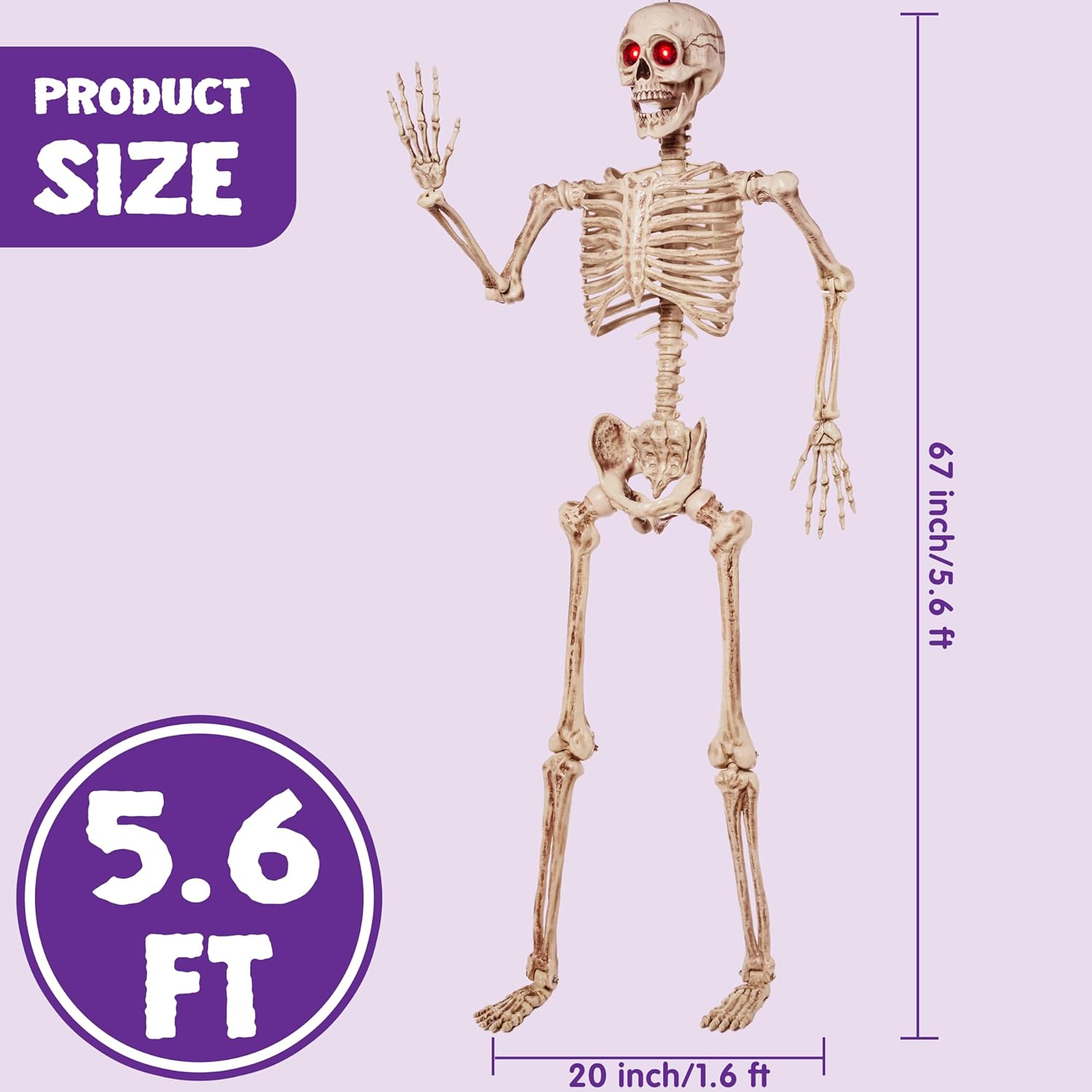 JOYIN 5.6 FT Halloween LED PosableSkeleton Full Body Realistic Bones with Red Light Eyes and Movable Joints for Halloween Indoor and Outdoor Decoration-2