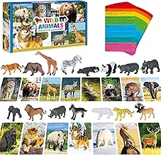 15 PCS Safari Animal Figurines with 15 Introducing Flashcards, Realistic Zoo Animal Figures Montessori Toys Science Educational Matching Game for Homeschool Preschool Toddler Kids