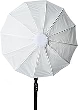 Cheetah Stand Lantern Softbox (Low Profile Bowen) Clip & Hook Style Softbox - Compatible with Bowens, Profoto, Alienbees, Glow, Elinchrom, Flashpoint Strobes