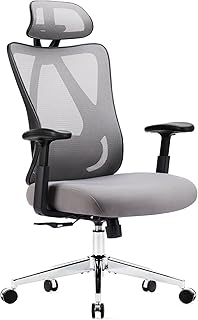 Sweetcrispy Ergonomic Office Desk Computer Chair, High Back Comfy Swivel Home Gaming Mesh Chairs with Wheels, Adjustable Lumbar Support, Headrest, Liftable 2D Arms,135° Tilt for Bedroom, Study, Grey