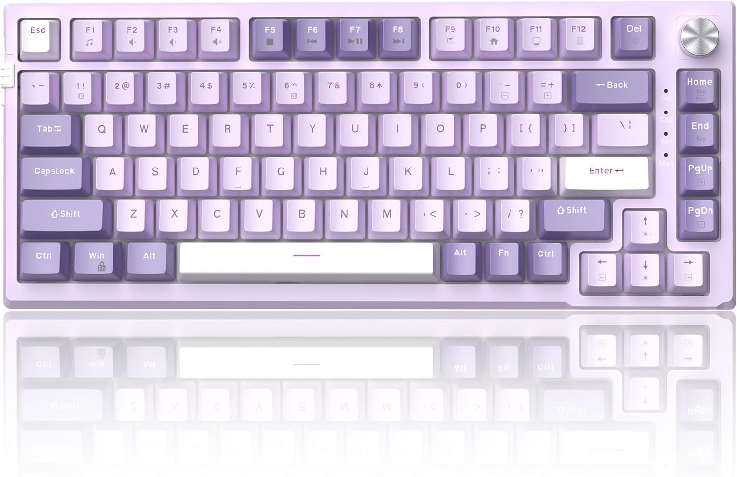 MageGee SKY81 75% Mechanical Gaming Keyboard, Gasket Hot Swappable Wired Custom Creamy Keyboard with 5-Layer Sound Dampening, Knob Control, RGB Backlit, NKRO for Win/Mac (Violet, Violet Switch)-0