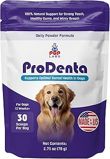 ProDenta - All-Natural and Delicious Dental Powder for Dogs Teeth and Gum Health Against Leaky Gums - for Dogs 12+ Weeks - Made in The USA - 30 Scoops per Bag