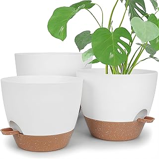 DIDROOM Self Watering Plant Pots for Indoor Plants, Set of 3 (12/10/9 inch) Plastic Plant Pots with Drainage Hole Reservoir, Indoor Outdoor Round Garden Flowers Plant Pot