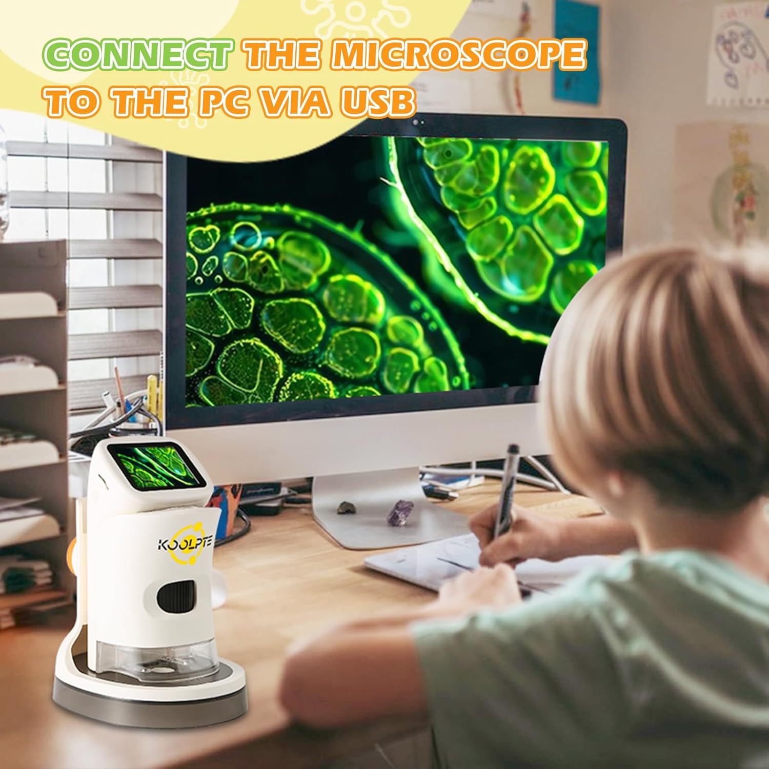 Microscope for Kids, 1000X HD Pocket Kids Microscope, 2.1'' LCD Screen Micrscope for Kids 8-12, Science Mini Scope Toy Kits, Handheld USB Microscope Educational Gift for Kids, 32 GB TF Card Included-5