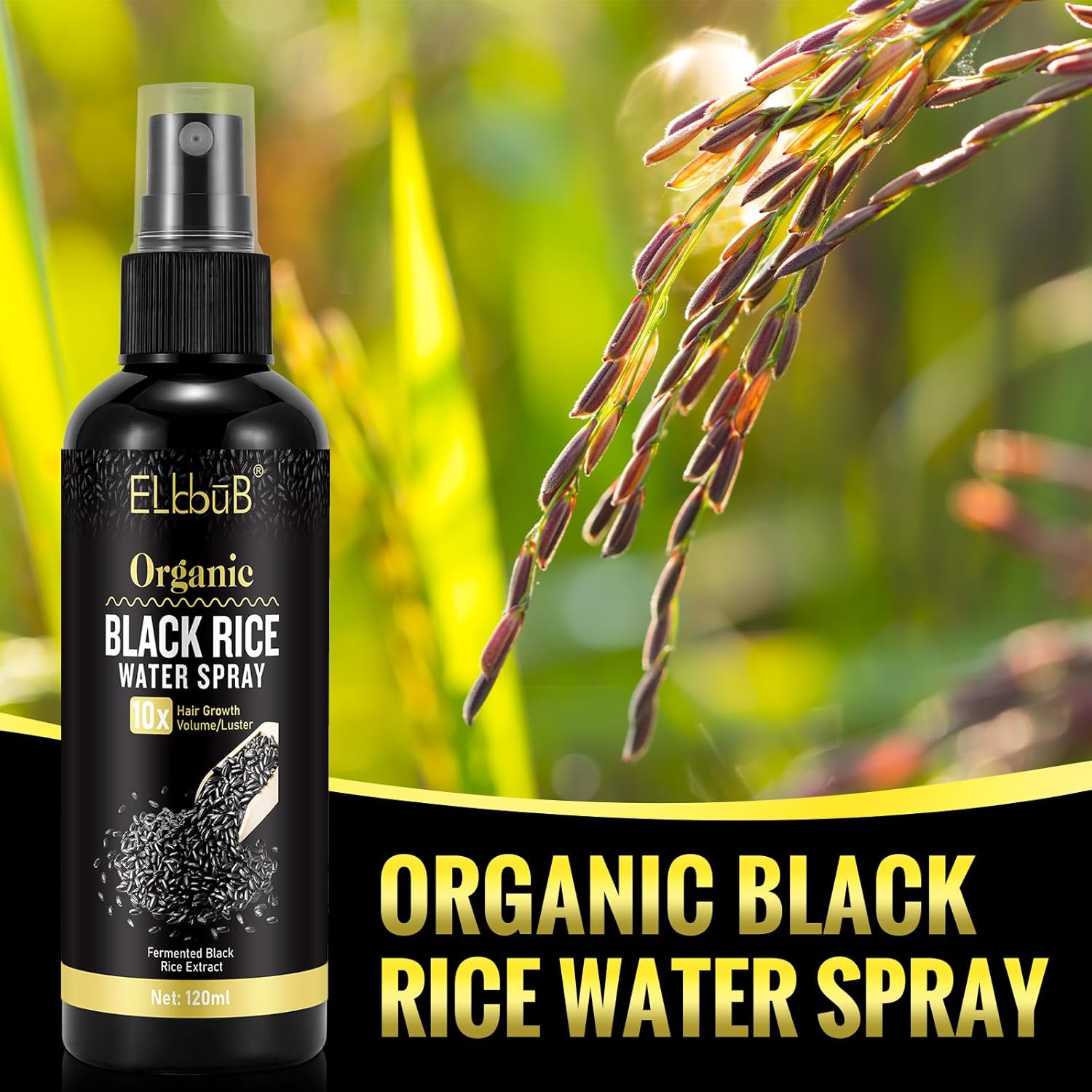 Black Rice Water Hair Growth Serum Spray - Natural Vegan Hair Regrowth Treatment for Men & Women with Castor Oil and Ginger - Ideal for Damaged, Dry Hair - Enhances Thickness, Length, Luster-6