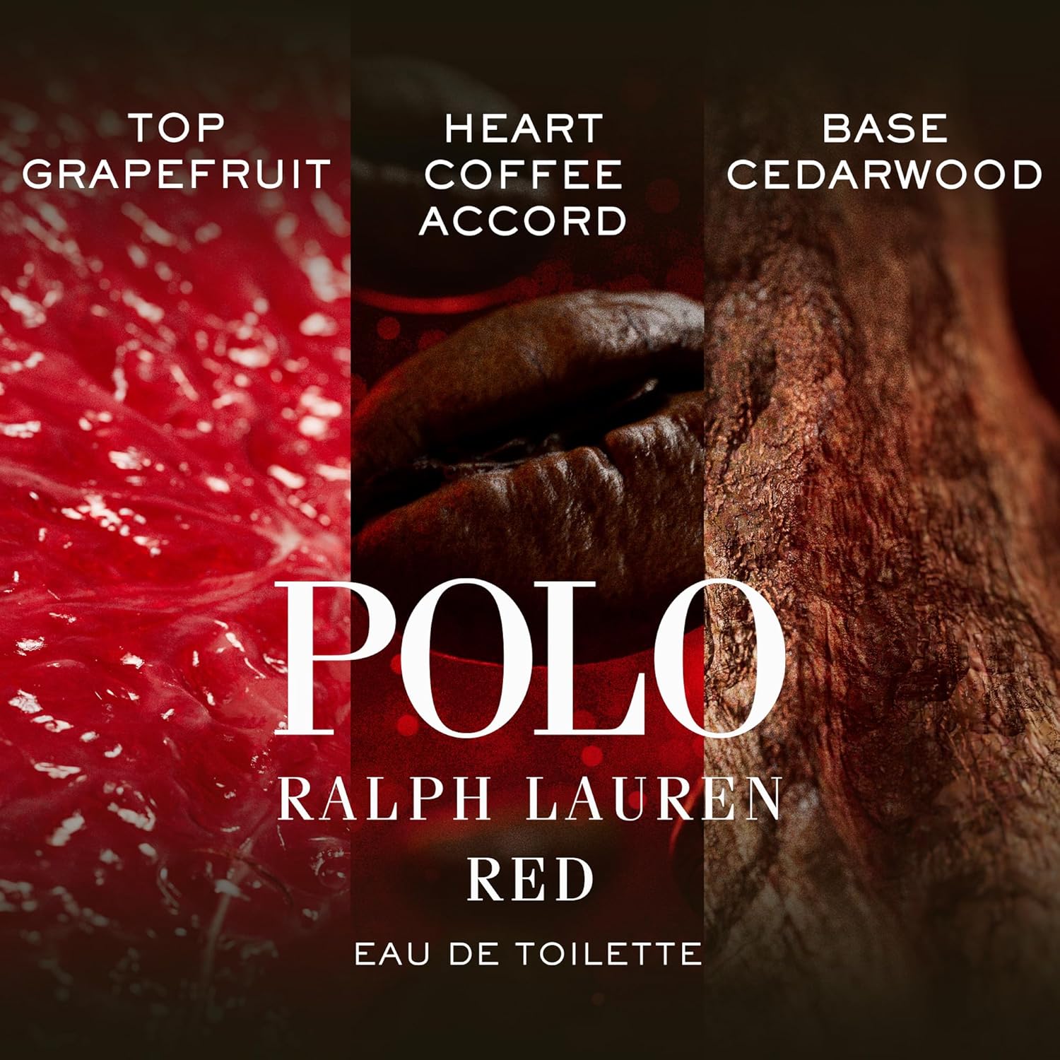 Ralph Lauren - World of Polo Men's Cologne Gift Set - Polo Red, Polo Blue, & Polo 67 - Eau de Toilette - 3-Piece Gift Set - Travel Size - 1.3 Fl Oz Each-3