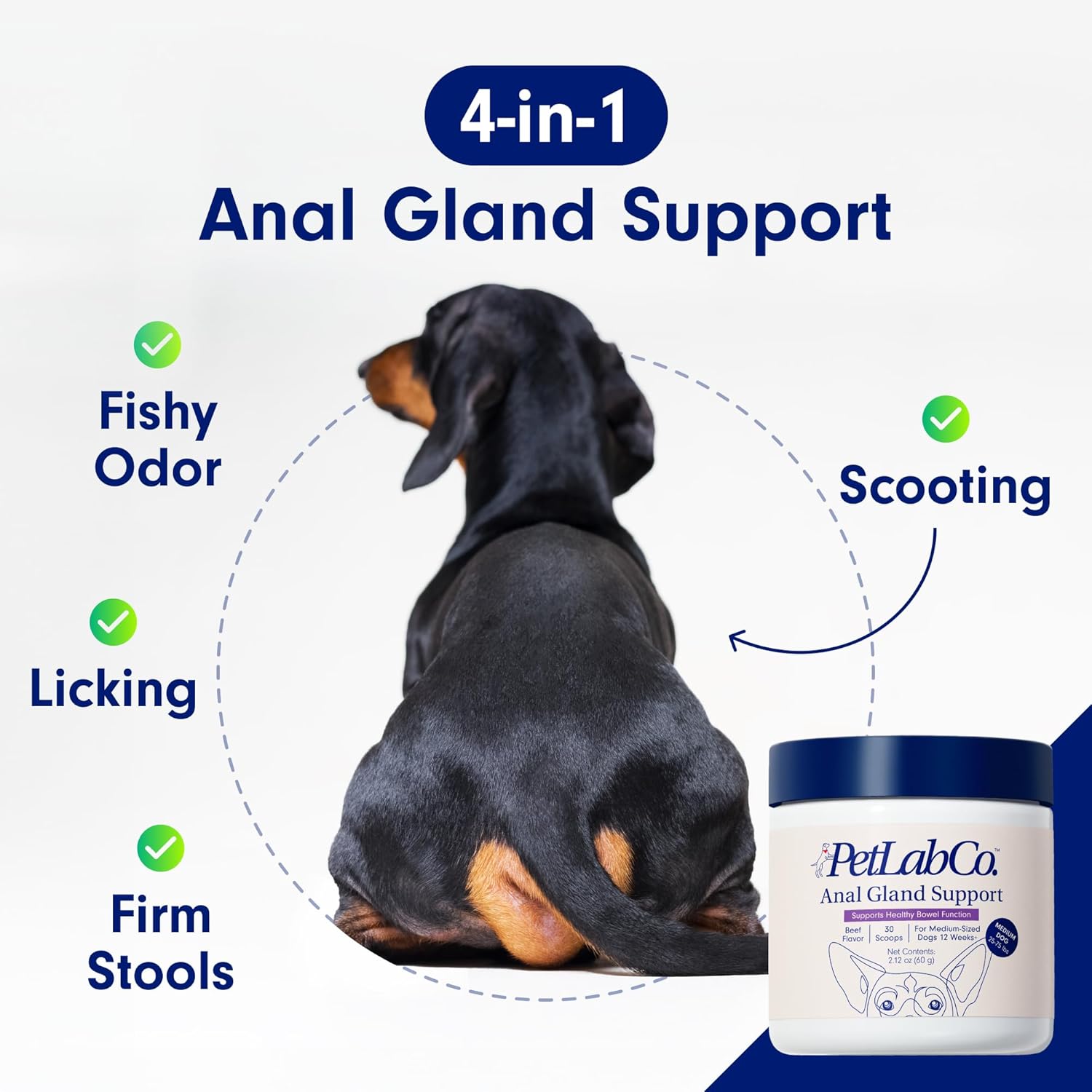 PetLab Co. Anal Gland Support Tailored Powder – Supports Anal Gland Health and Optimizes Stool Consistency - Easy to Use - Helps Target Scooting & Fishy Rears – for Medium Dogs-3