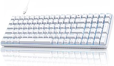 DIERYA DK98SE Gaming Keyboard,Wired Mechanical Keyboard with Tactile Brown Switches,USB-C Cable for PC Windows Gamers and Typists,White