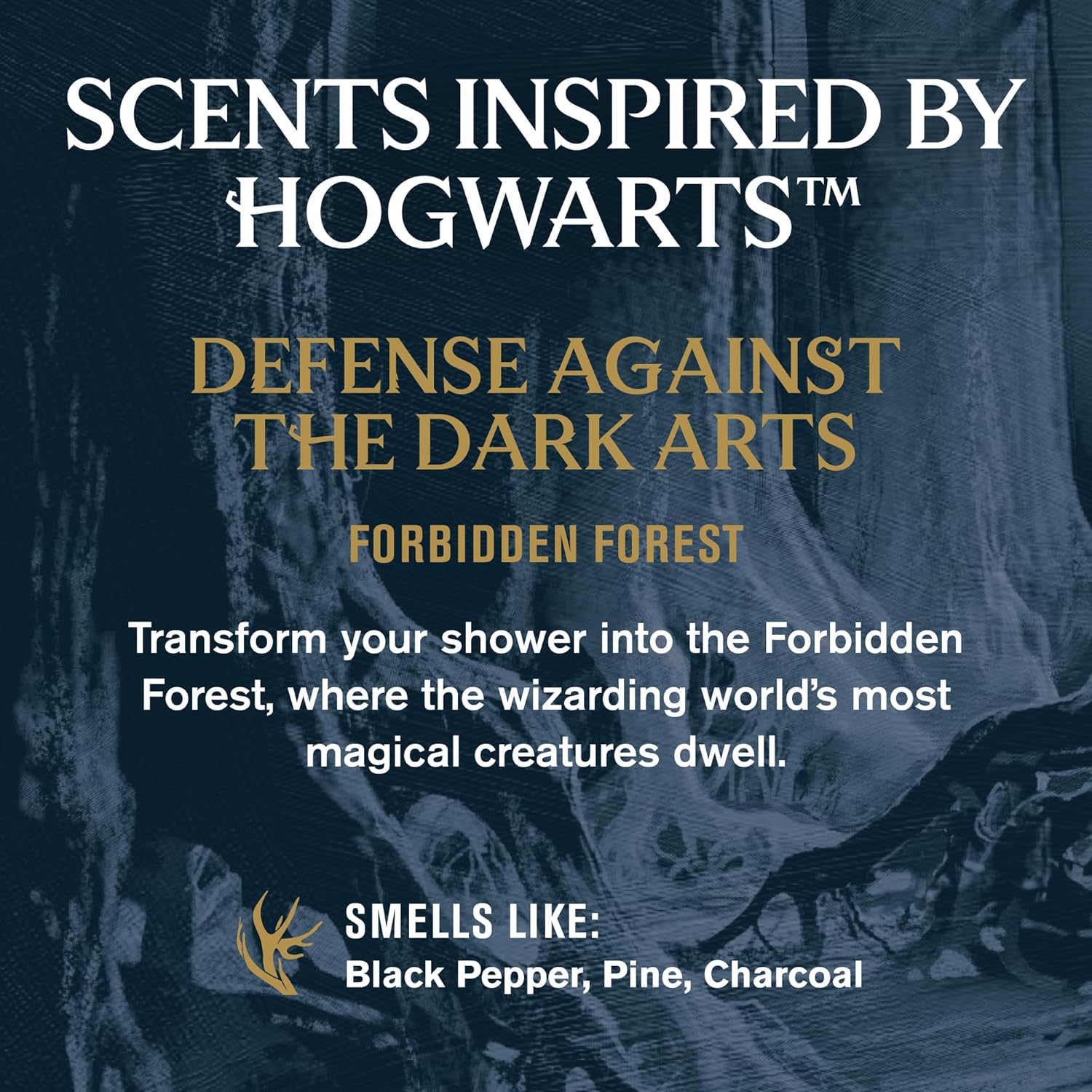 Every Man Jack Harry Potter Collectors Body Wash - Hogwarts Inspired Scents & Clean Ingredients - Defense Against the Dark Arts - Forbidden Forest Scent - 13.5 oz (Pack of 2)-1