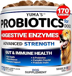 Probiotics for Dogs and Digestive Enzymes - 170 Dog Probiotics Chews - Dog Probiotic - Anti Diarrhea, Upset Stomach & Gas Relief, Canine Prebiotic - Pet Fiber Supplement - Beef Liver Flavor