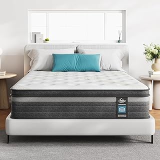 TeQsli Queen Mattress, 12 Inch Queen Mattress Hybrid, Gel Memory Foam with Queen Size Mattress in a Box & Individually Pocketed Springs for Pressure Relief