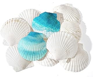 Joyfulmap 10 PCS Large Scallop Shells 4-5 inch Natural White Scallop Shells for Crafts, Sea Shell from Sea Beach for DIY Craft Decor, Baking, Home, Beaching Wedding Decoration