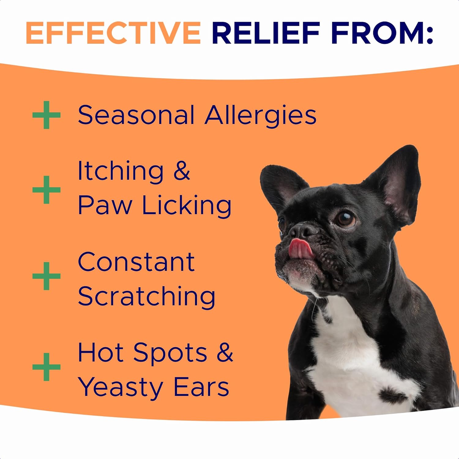 Dog Allergy Relief Chews — Anti-Itch Skin & Coat Supplement: No Fillers, Just Flavor - Itchy Skin Relief Treatment w/Omega 3 Fish Oil - Itching&Paw Licking - Dry Skin&Hot Spots - Made in USA - 180Ct-1