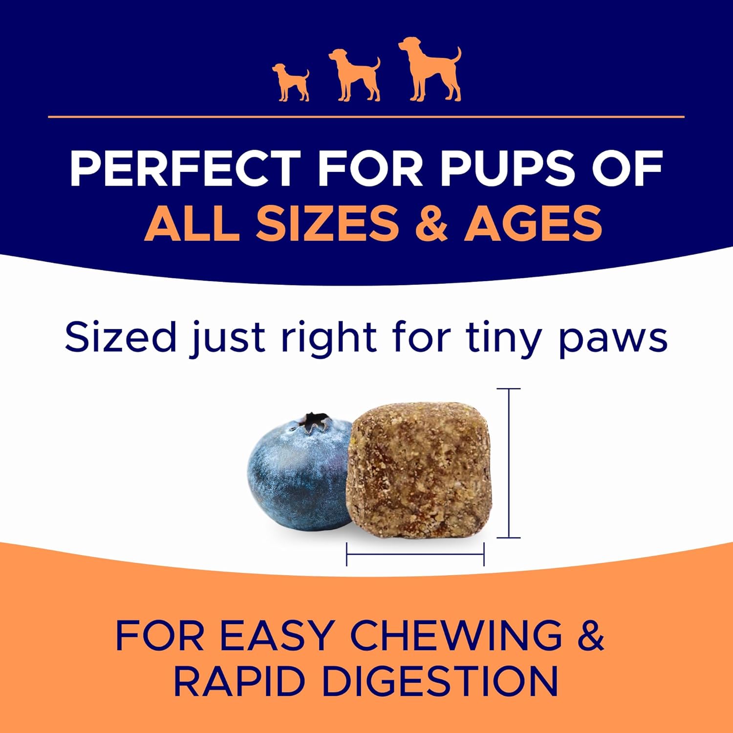 Dog Allergy Relief Chews — Anti-Itch Skin & Coat Supplement: No Fillers, Just Flavor - Itchy Skin Relief Treatment w/Omega 3 Fish Oil - Itching&Paw Licking - Dry Skin&Hot Spots - Made in USA - 180Ct-6