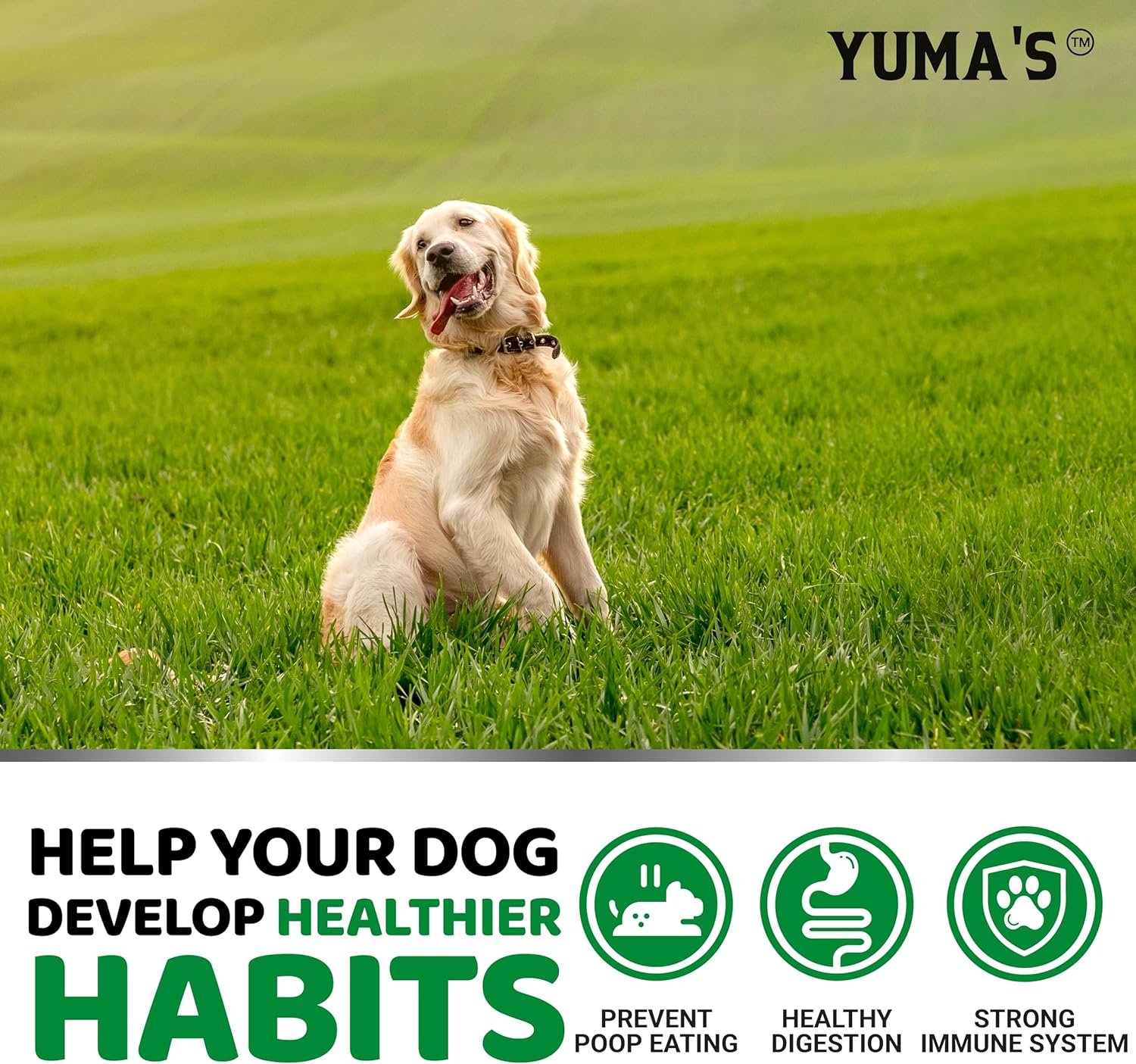 YUMA'S No Poo Chews for Dogs - 170 Ct - Coprophagia No Poop Eating Deterrent for Dogs - Prevent Dog from Eating Poop - Stop Eating Poop for Dogs - Probiotics & Digestive Enzymes Supplement-3